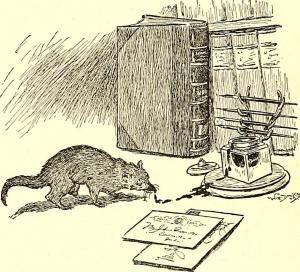 14784975065_ce93ffe451_o