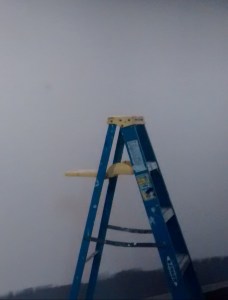 21662402799_2d241ea199_o